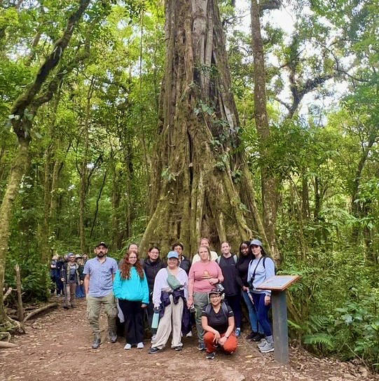 A group of students stand in front of a tall tree in Coasta Rica